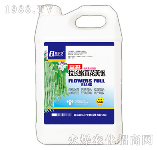 豆類拉長嫩直花莢飽-瀚樂爾