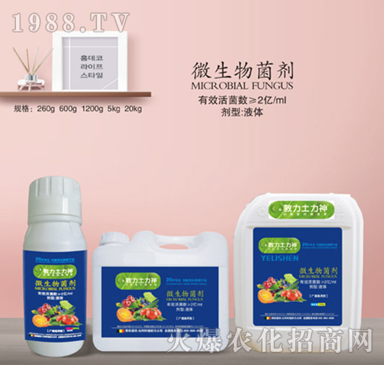 ΢���������2�|�����-ʩ����