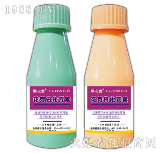 花芽分化元素-黑之金-匯豐植保