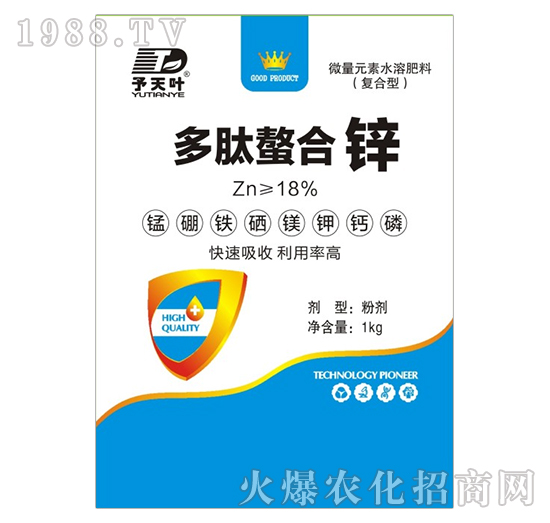 ���������\-���~����