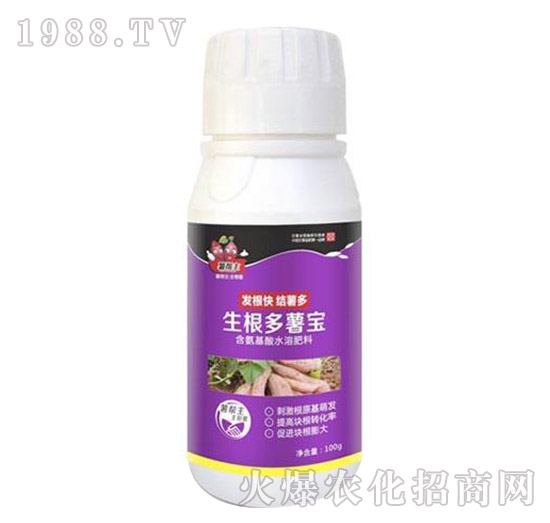 紅薯生根多薯寶-薯幫主-升華永樂(lè)