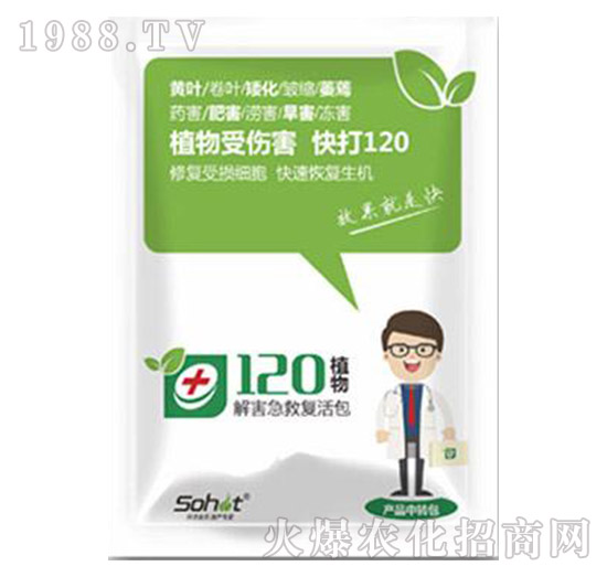 解害急救復(fù)活包-植物120-升華永樂(lè)