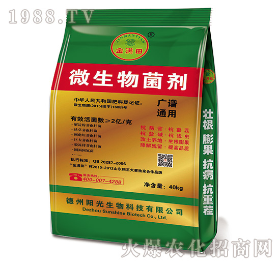 �V�Vͨ���͏ͺ��������-��M��-ꖹ�����