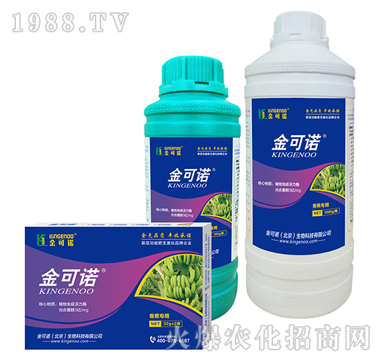香蕉專用-金可諾