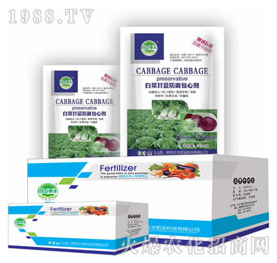 白菜甘藍(lán)防腐包心劑-田園季豐-大豐肥業(yè)
