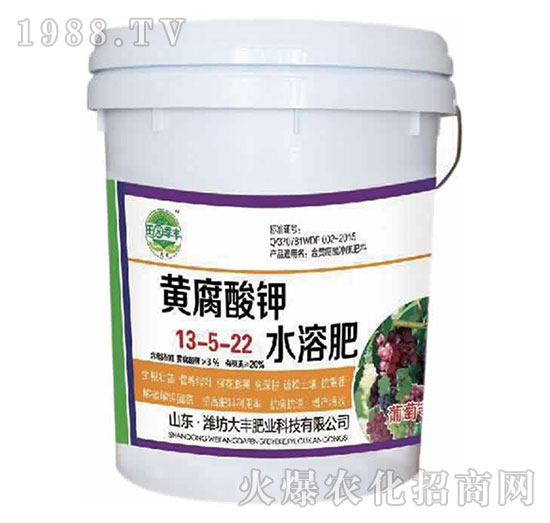 葡萄專用黃腐酸鉀水溶肥13-5-22-田園季豐-大豐肥業(yè)
