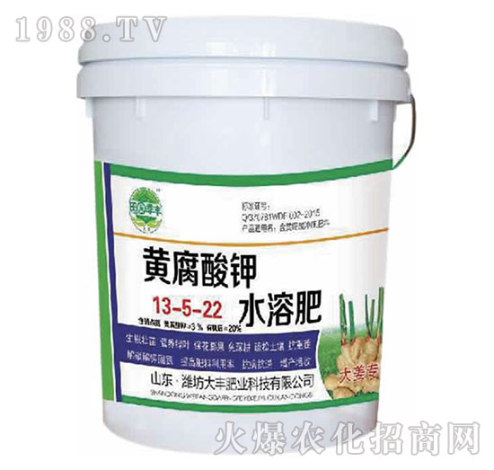 大姜專(zhuān)用黃腐酸鉀水溶肥13-5-22-田園季豐-大豐肥業(yè)