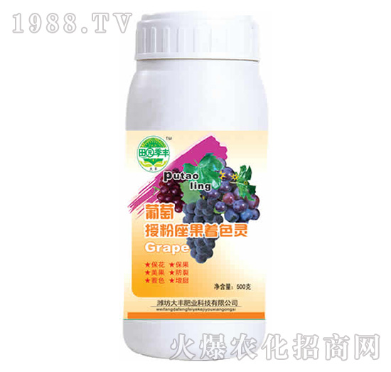 葡萄授粉座果著色靈-田園季豐-大豐肥業(yè)