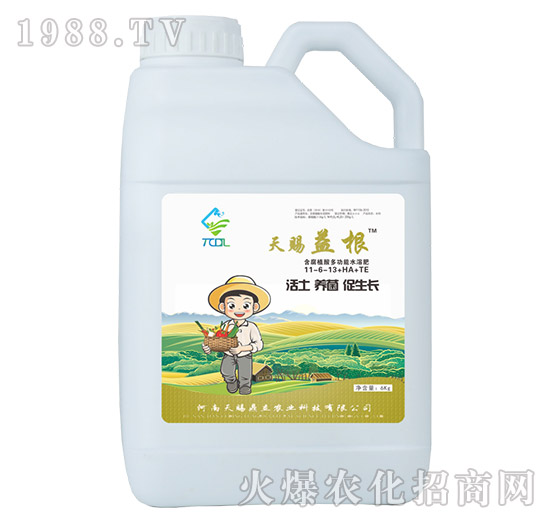 含腐殖酸多功能水溶肥11-6-13+HA+TE-天賜益根-天賜鼎立