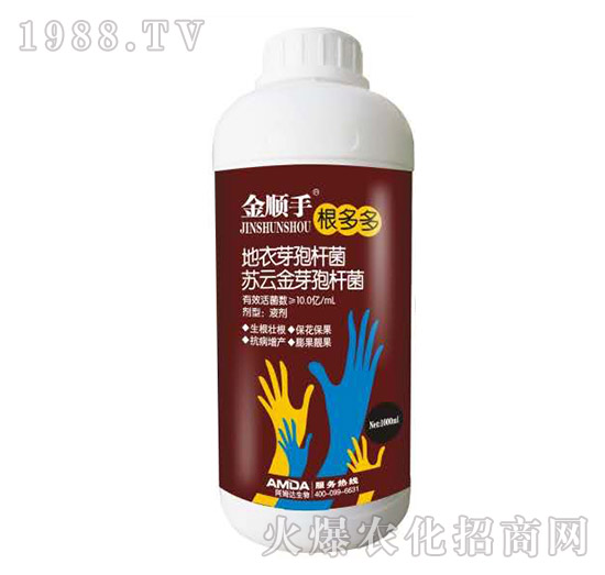 根多多-金順手-阿姆達