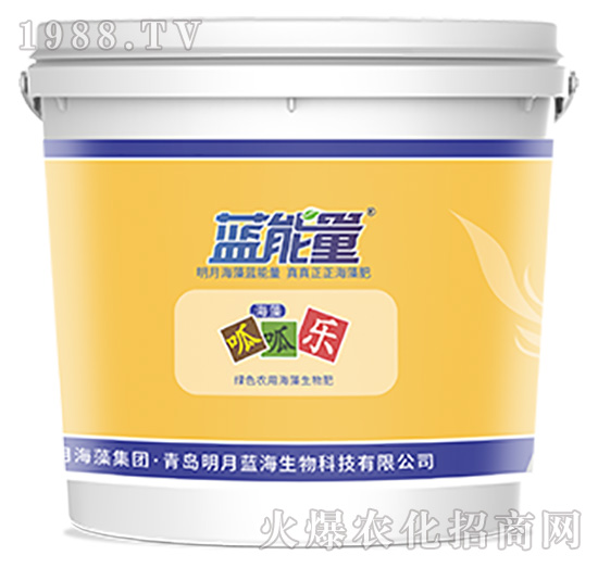 ���ɘ�-�{(l��n)����