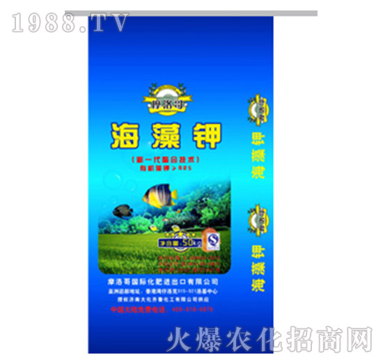 �����-Ħ���-���R��