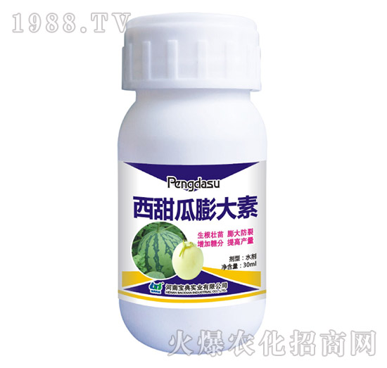 西甜瓜膨大素-寶典實業(yè)