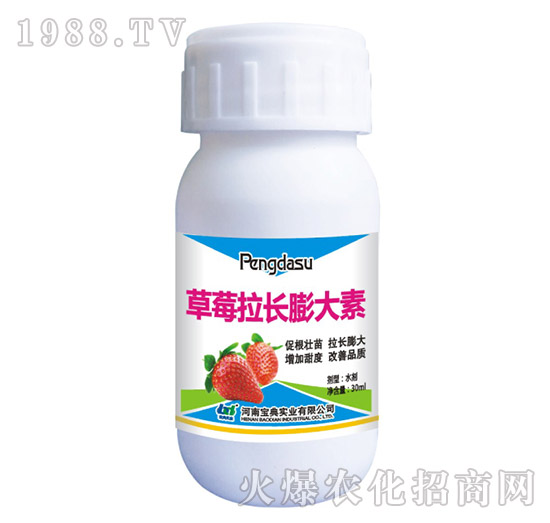 草莓拉長膨大素-寶典實業(yè)