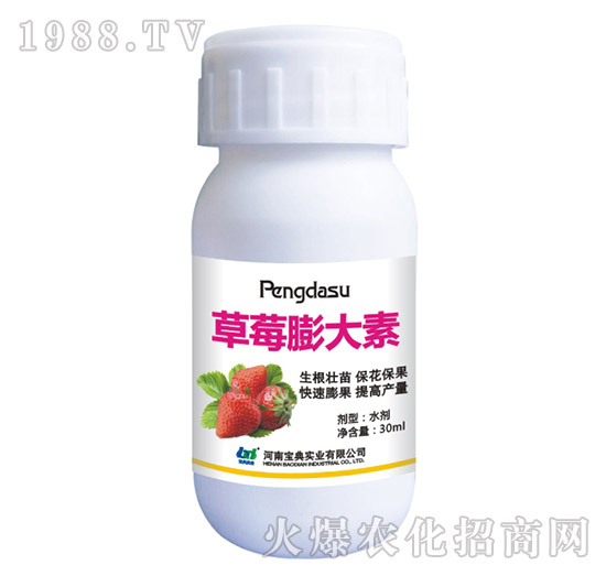草莓膨大素-寶典實(shí)業(yè)