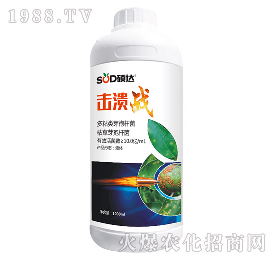 擊潰戰(zhàn)-碩達