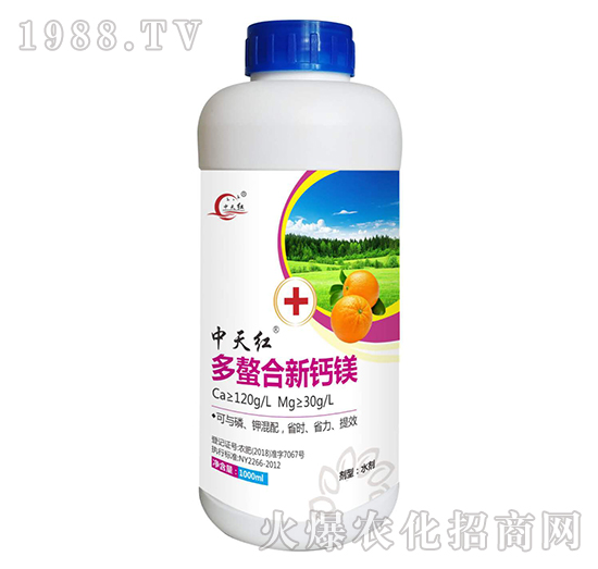 ���������}�V-����t