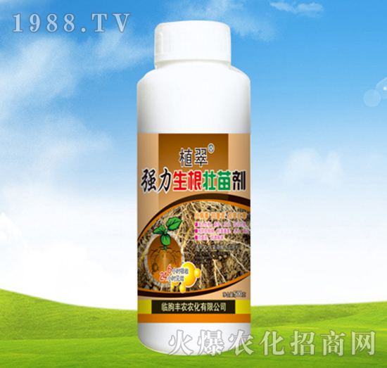 強(qiáng)力生根壯苗劑-植翠-豐農(nóng)農(nóng)化
