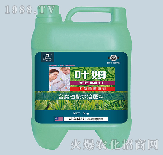 茶葉專配冬氨酸藻姆菌素-茶葉根補(bǔ)精-葉姆