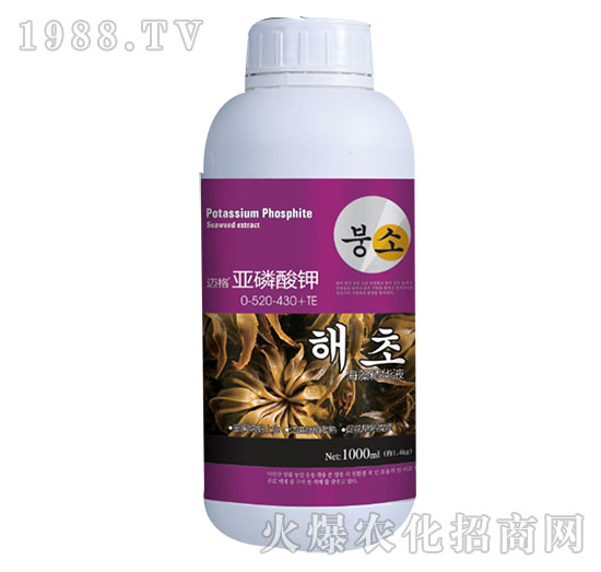 �~�������0-520-430+TE-�xҫ����