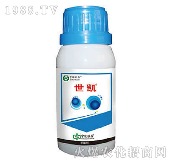 10%���Ѽ׭h(hu��n)��-���P-���r(n��ng)(li��n)��