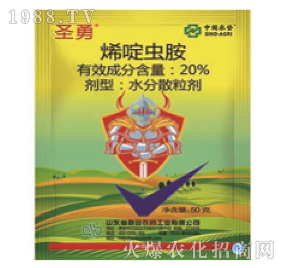 20%ϩ��x(ch��ng)��-ʥ��-���r(n��ng)(li��n)��