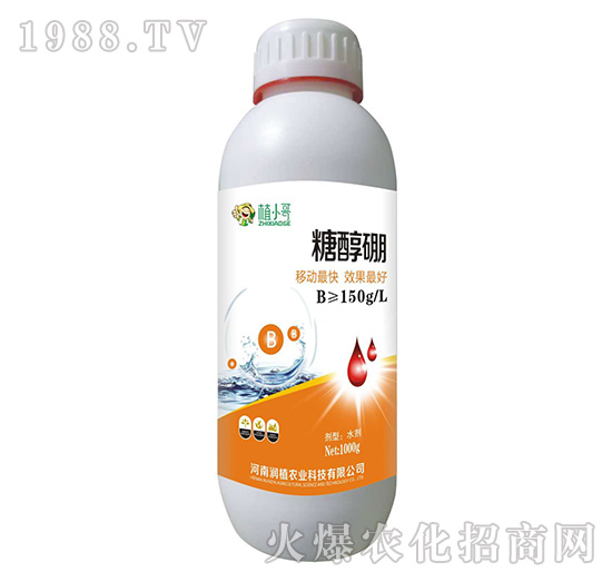 �Ǵ���-��ֲ