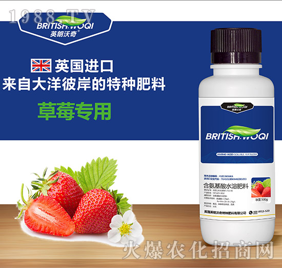 草莓專(zhuān)用含氨基酸水溶肥料-英朗沃奇