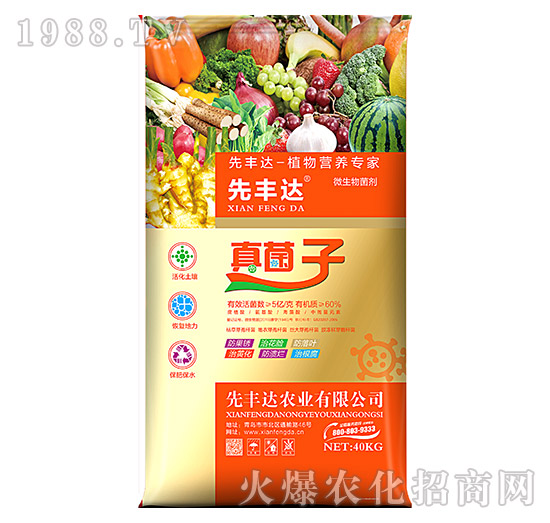 植物營養(yǎng)專家-真菌子-先豐達