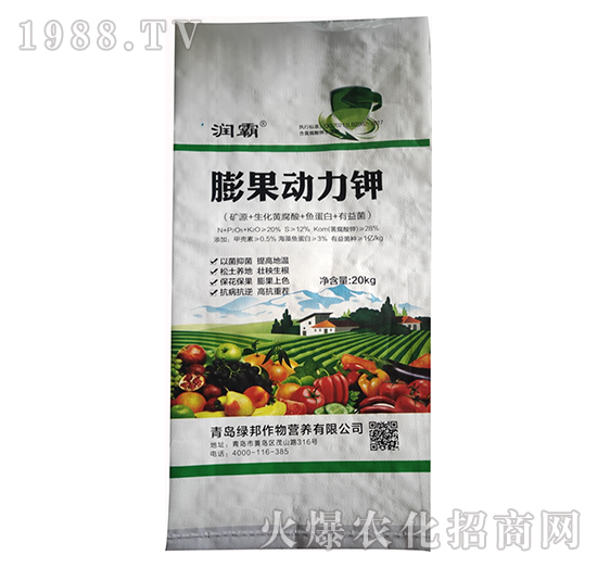 ��������-����-����������