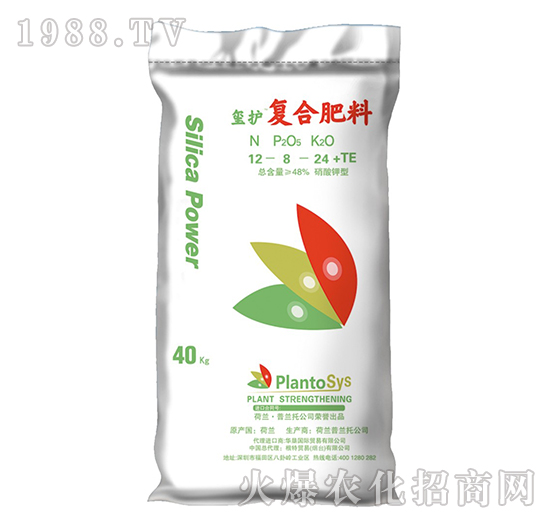 ����⛏�(f��)�Ϸ���-�t�o(h��)-���؇�(gu��)�H