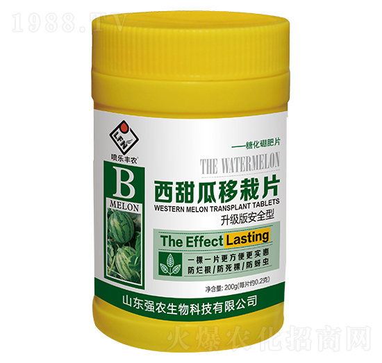西甜瓜移栽片-強(qiáng)農(nóng)生物
