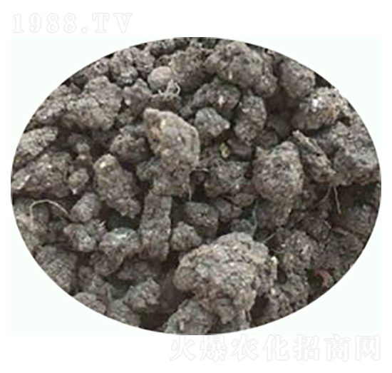 �l(f��)���u�S�ЙC����-���|�ʘI(y��)