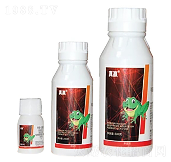 12%�׾S���x(ch��ng)����Ҹ���-ِ��