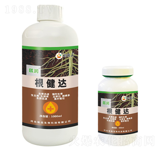 �����_(d��)-Ɲ��(r��n)-�Ʒ����