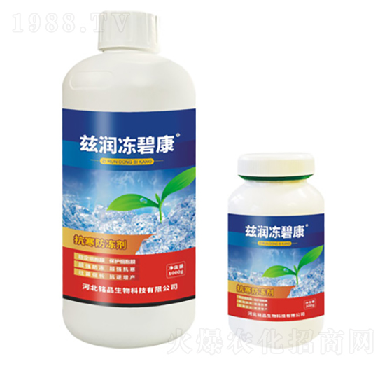 Ɲ�����̿�-�Ʒ����