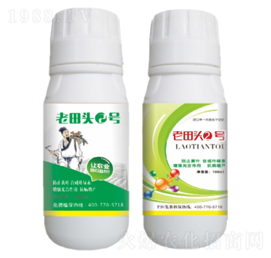 真菌、細菌性病害、病毒?。ㄖ胁菟幣浞剑?老田頭2號