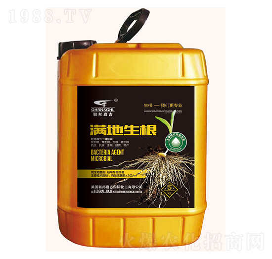 滿地生根-聯(lián)邦嘉吉