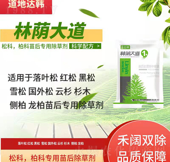 松科柏科除草劑-松科柏科苗后-松科柏科專用-林蔭大道1號(hào)-大韓