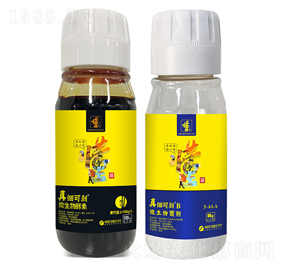 真細(xì)可剎A+真細(xì)可剎B-土好金