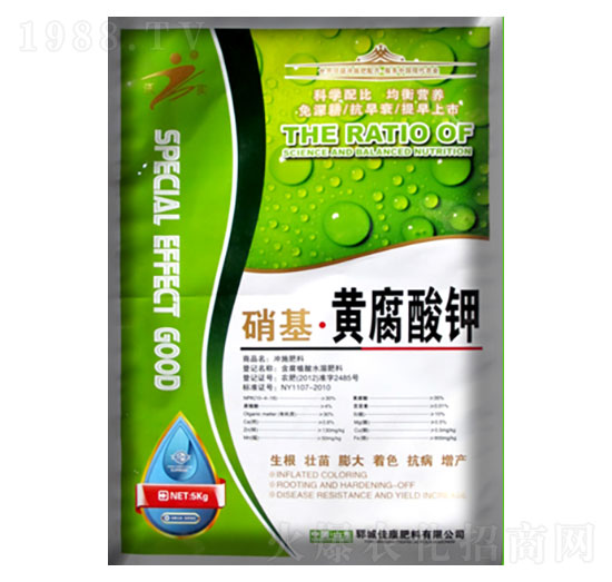 �������S�����-�ѿ�