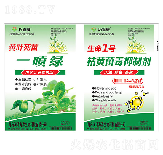 黃葉死苗一噴綠+生命1號(hào)枯黃菌毒抑制劑-巧管家-潤(rùn)澤