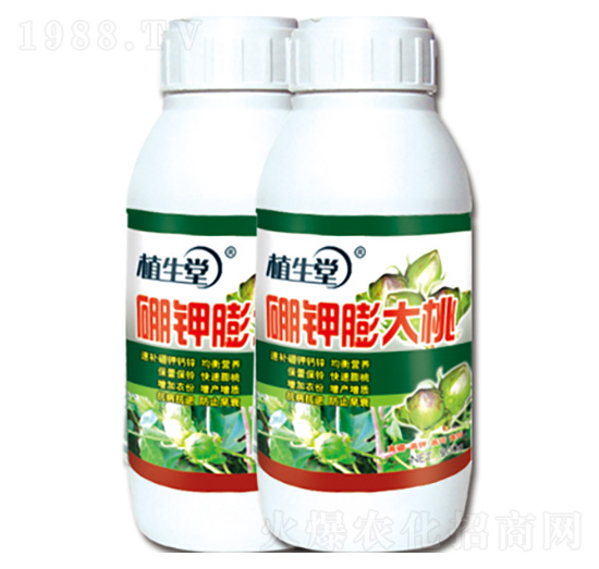 �������� ֲ���� �R������