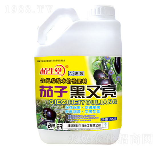 茄子黑又亮 植生堂 萊利生物