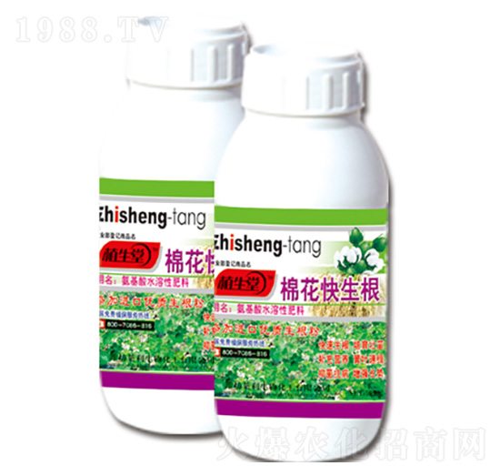 棉花快生根 植生堂 萊利生物