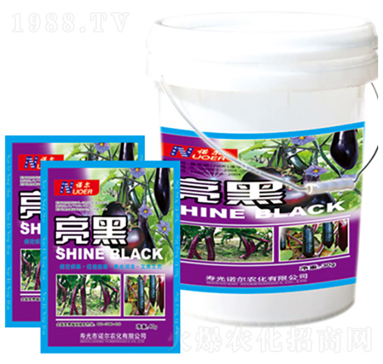 ���� �R������