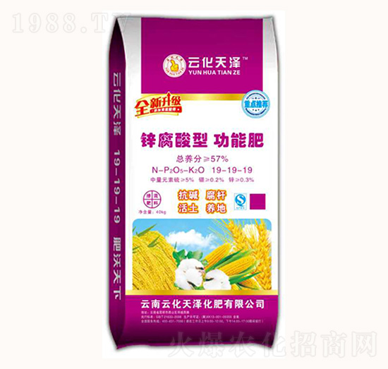 鋅腐酸型功能肥19-19-19-云化天澤