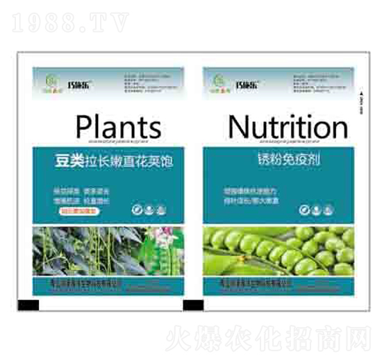 豆類拉長(zhǎng)嫩直花莢飽+銹粉免疫劑 潤(rùn)澤