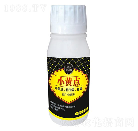 小黃點(diǎn) 盛澤坤