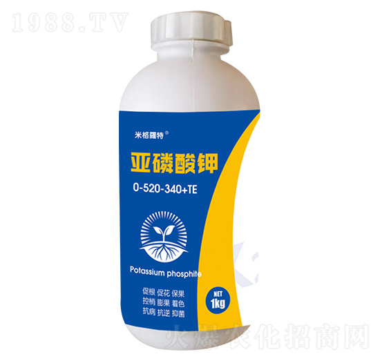 �������0-520-340+TE �׸��_��